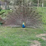 בית נופש Isigny Omaha