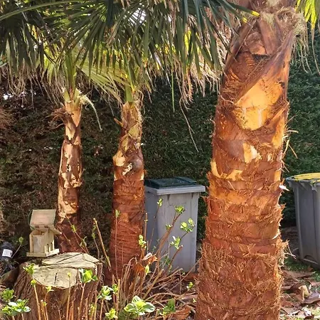 Isigny Omaha Dom wakacyjny Saint-Germain-du-Pert