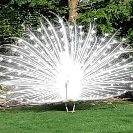 Isigny Omaha Dom wakacyjny Saint-Germain-du-Pert