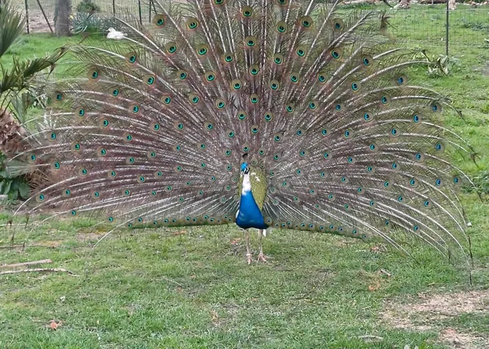 Holiday home Isigny Omaha