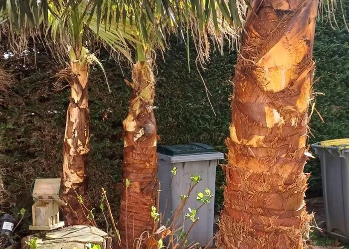 Isigny Omaha Holiday home Saint-Germain-du-Pert