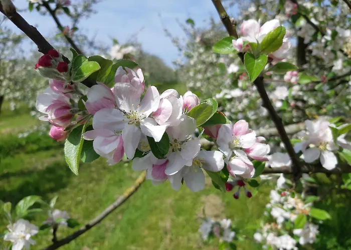 Isigny Omaha בית נופש Saint-Germain-du-Pert