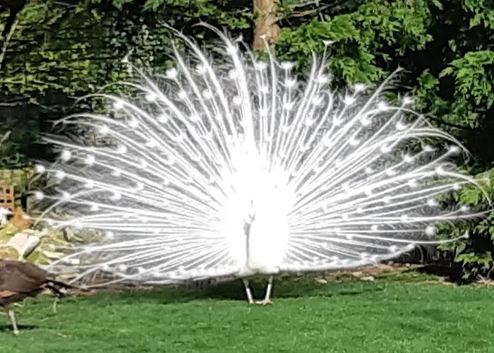 Isigny Omaha Holiday home Saint-Germain-du-Pert